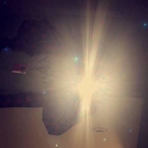 Meet your Posher, Tabitha